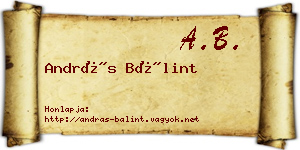 András Bálint névjegykártya